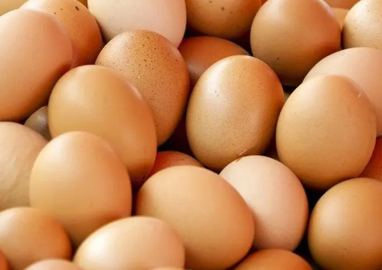 山东鸡蛋价格