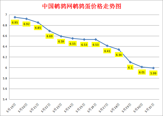 2023.5.31中国鹌鹑网全国鹌鹑蛋价格报价