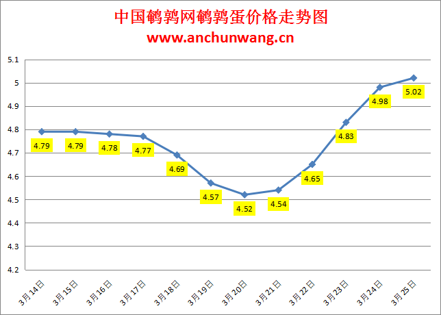 2024.3.25中国鹌鹑网全国鹌鹑蛋价格报价：稳有涨 均价5.02元/斤