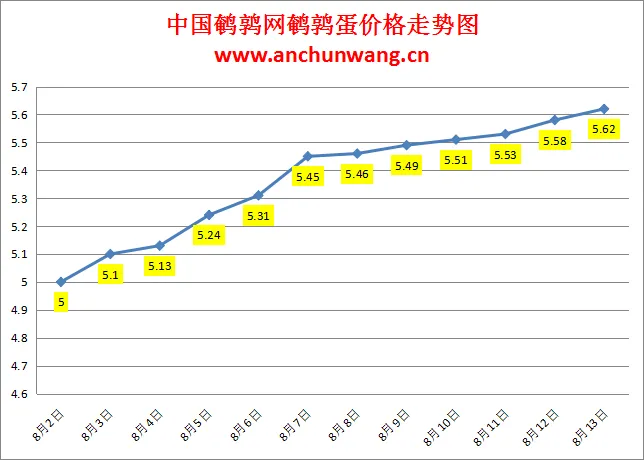 2024.8.13全国鹌鹑蛋价格：局部涨，均价5.62元