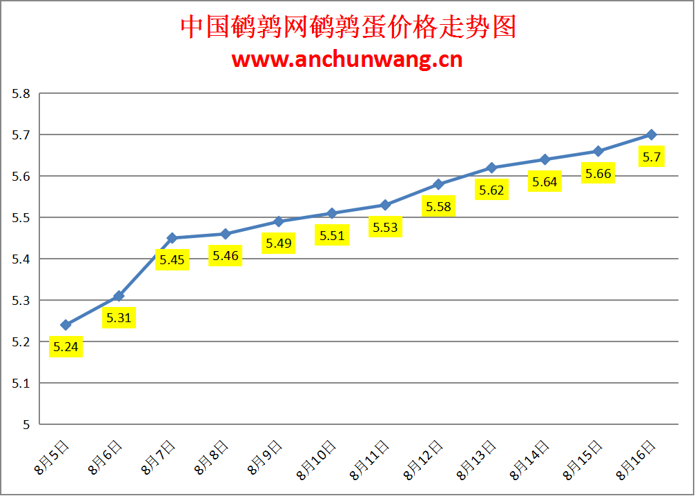 2024.8.16全国鹌鹑蛋价格：局部涨，均价5.7元