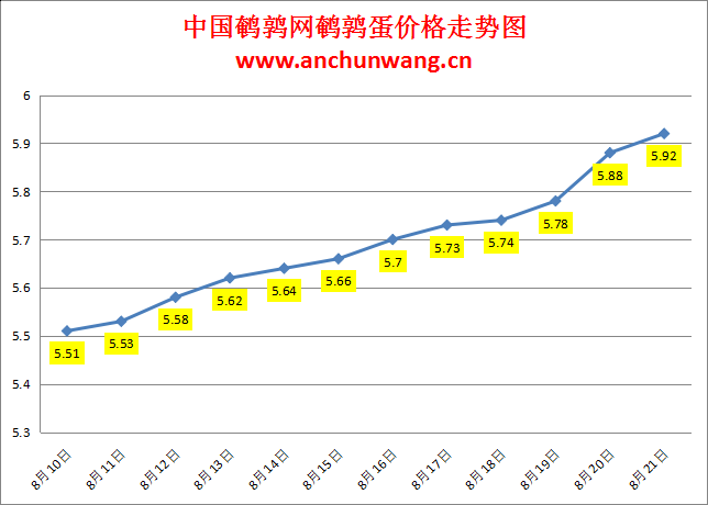 2024.8.21全国鹌鹑蛋价格：局部涨，均价5.92元