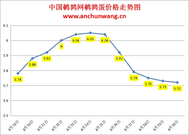 2024.8.30全国鹌鹑蛋价格：局部跌，均价5.72元