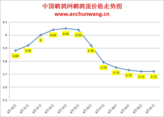 2024.8.31全国鹌鹑蛋价格：个别涨，均价5.72元