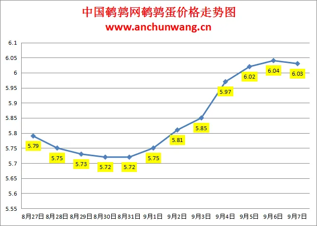 2024.9.7全国鹌鹑蛋价格：局部有涨跌，均价6.03元