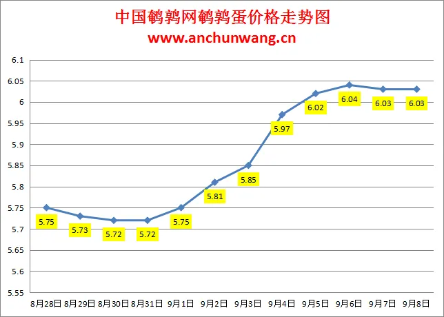 2024.9.8全国鹌鹑蛋价格：稳为主，均价6.03元